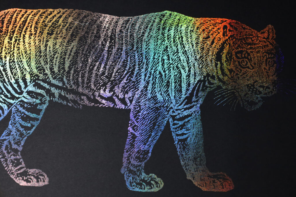 img 6340 copy img 6340 copy